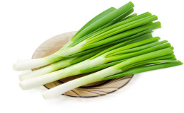 The benefits and harms of leeks for health: what is good and how to use it correctly