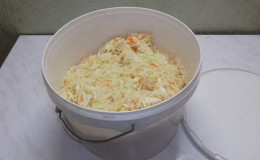 Is it possible to ferment and salt cabbage in a plastic food bucket and other plastic dishes