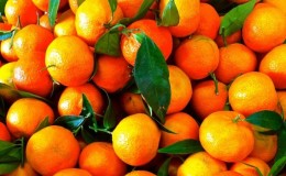 What is the Difference Between Clementines and Tangerines and What's Healthier