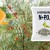 How and what to feed sea buckthorn in summer: a guide for beginner gardeners