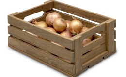 Best recommendations: how to keep onions at home in an apartment