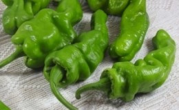 What is Dungan pepper and how can it be used