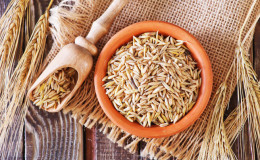 Features of the treatment of the liver and pancreas with oats