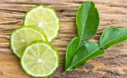 Kaffir lime - what is this plant