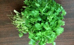 Is it possible to eat parsley during pregnancy