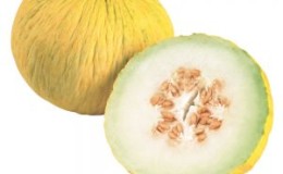 What is good about the Kassaba melon, how to choose and grow it