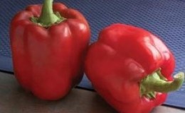 Juicy and productive 