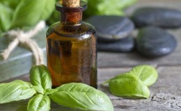 Why basil essential oil is useful and how to use it correctly