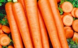 Late ripening and high-yielding carrots