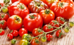 Why tomatoes are harmful and useful for humans