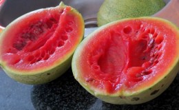 Is it possible to eat overripe watermelon and what to cook from it