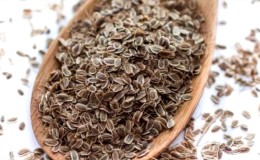 We are treated effectively: how to properly use dill seeds for cystitis