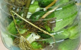 How to pickle cucumbers in a 5 liter plastic bottle: preparation, preparation and storage
