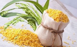 What cereal is millet made from and why is it needed