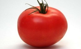 A resistant hybrid from Japanese breeders - tomato