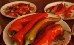 Distinguishing pungent fruits is easy and simple - cayenne pepper and chili: what is the difference and how they are used