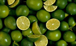 What is lime - what is it and how it grows