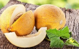 Is it possible to melon with gastritis in various forms: rules and norms of use