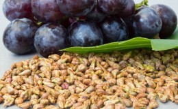 The benefits and harms of grape seed for the body
