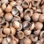 Macadamia nut shells - beneficial properties and uses