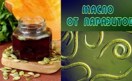 How to use pumpkin seed oil for worms and how effective it is: treatment of parasites with a popular folk method