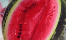 Is it worth buying watermelon seeds