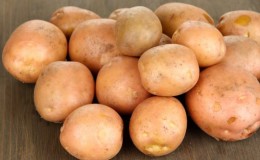 Late-ripening variety of potatoes