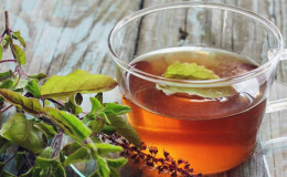 Why is basil tea useful and what recipes are the most delicious
