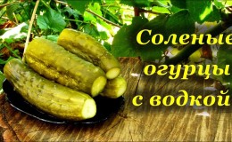How to prepare crispy cucumbers with vodka for the winter: recipes and tips