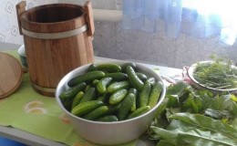 Features of pickling cucumbers for the winter in a barrel: recipes for cold pickling
