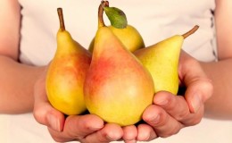 The best varieties of pears for the Moscow region