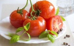 An excellent hybrid for open ground - tomato
