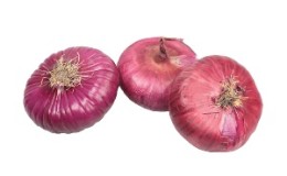 One of the most delicious onion varieties: Yalta