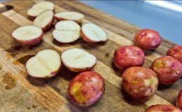 Unpretentious variety of potatoes