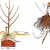 Instructions for beginner gardeners: how to plant an apple tree in spring