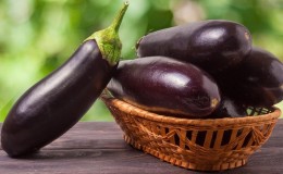 Is eggplant possible with gastritis: arguments for and against, acceptable ways of use