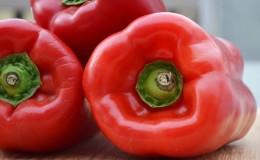 How to grow Denis hybrid pepper to get a rich harvest of sweet and juicy fruits