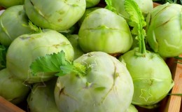 What is the name of the cabbage that looks like turnip