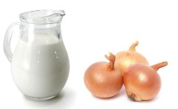 Does milk with onions help cough and how to use it correctly