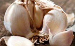 How to recognize spring and winter garlic: differences in varieties in appearance, taste and other characteristics