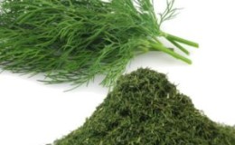 How to store dill for the winter at home: the best storage methods