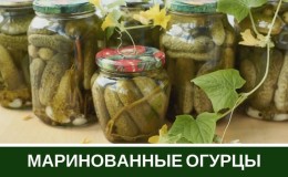 Crispy cucumbers in jars for the winter: season with hot salt