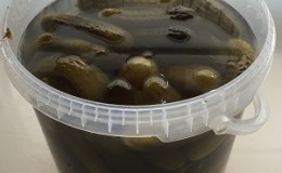 The best recipes on how to pickle cucumbers in a plastic bucket for the winter and recommendations for storing such blanks