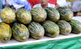 Fragrant and tasty Khasanka melon: how to choose and grow on your site
