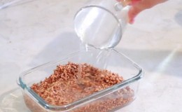 Useful properties and calorie content of buckwheat steamed with boiling water