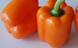 Large and sweet variety of 