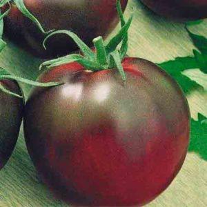 Unusual and aesthetic tomato variety Black Baron - easy to grow and pleasing with an abundance of harvest