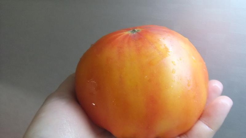 A favorite of farmers among tomatoes: Tomato Bull's Heart, characteristics and description of the variety
