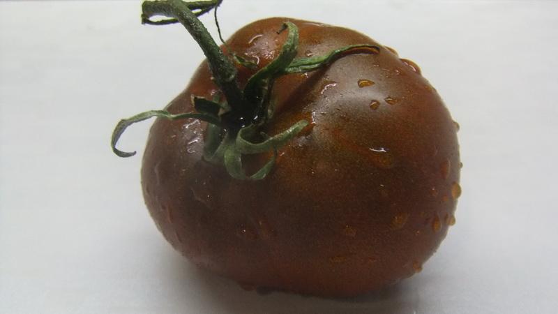 A favorite of farmers among tomatoes: Tomato Bull's Heart, characteristics and description of the variety