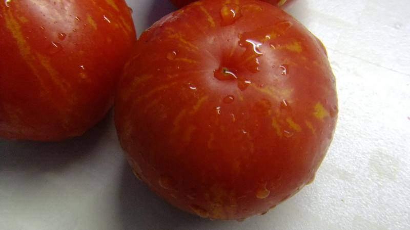 What low-growing varieties of tomatoes are the most productive